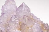 Huge, Cactus Quartz (Amethyst) Crystal Cluster - South Africa #206116-6